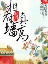 相府墙真高图片