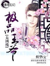 《极品王爷太凶残》全本TXT下载-作者：炽华