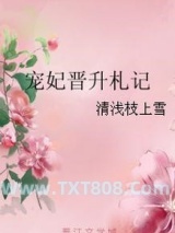 《宠妃晋升札记》全本TXT下载-作者：清浅枝上雪