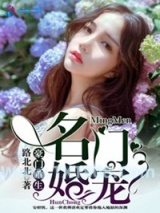 豪门重生之名门婚宠图片