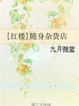 [红楼]随身杂货店图片