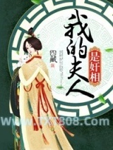 我的夫人是奸相图片