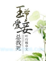 《王爷爱妾总找死》全本TXT下载-作者：叶行枝