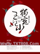 《重生之独宠小王妃》全本TXT下载-作者：木子归