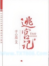 宠妃逃宫记图片