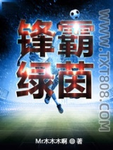 《锋霸绿茵》全本TXT下载-作者：Mr木木木啊