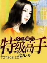 《女总裁的特级高手》全本TXT下载-作者：冷九