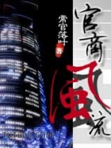 重生之官商风流图片