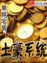 土豪系统图片