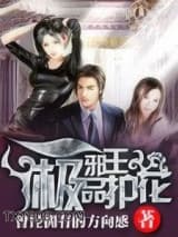 极品护花邪王图片