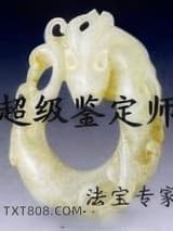 《超级鉴定师》全本TXT下载-作者：法宝专家