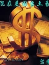 混在美国当土豪图片