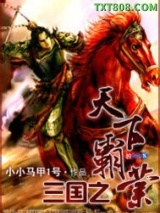 《三国之天下霸业》全本TXT下载-作者：小小马甲1号
