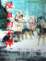 浸血的子弹图片