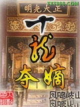 十龙夺嫡