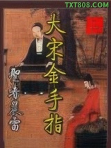 大宋金手指图片