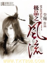 《极品之风流》全本TXT下载-作者：尘翔