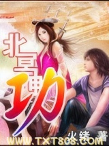 《北冥神功》全本TXT下载-作者：火绪