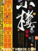 《小楼传说》全本TXT下载-作者：老庄墨韩