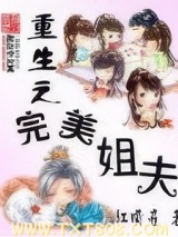 重生之完美姐夫图片