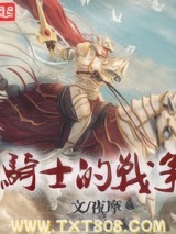 《骑士的战争》全本TXT下载-作者：夜摩