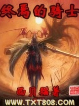 终焉的骑士