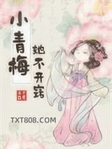 小青梅她不开窍图片