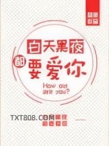 白天黑夜都要爱你