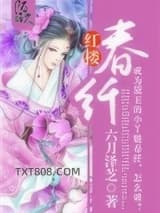 红楼春纤