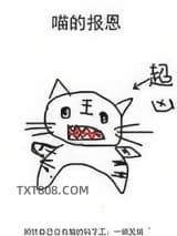 喵的报恩图片