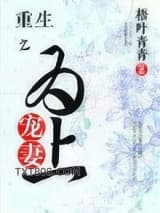 重生之宠妻为上图片