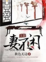 夫贵妻不闲图片