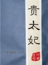 《贵太妃》全本TXT下载-作者：何甘蓝