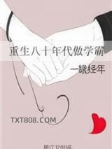 重生八十年代做学霸图片