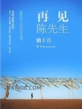 再见陈先生图片