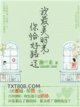 《我最美时光，你恰好路过》全本TXT下载-作者：池三禾
