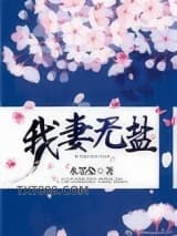 《我妻无盐》全本TXT下载-作者：水墨染