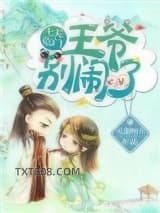 《七夫临门：王爷，别闹！》全本TXT下载-作者：灭绝师太
