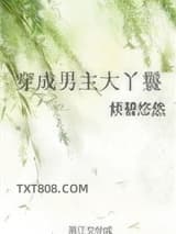 穿成男主大丫鬟图片