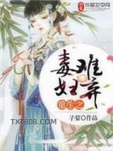 《重生之毒妇难弃》全本TXT下载-作者：子宴