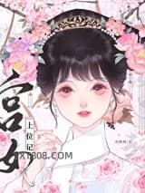 清穿之宫女上位记图片