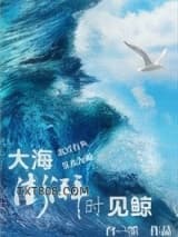 大海澎湃时见鲸图片