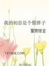 《我的初恋是个假胖子》全本TXT下载-作者：蜜雨恬言