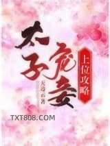 太子宠妾上位攻略图片