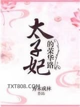 太子妃的荣华路