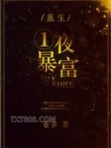 重生一夜暴富