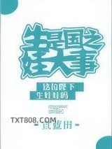 《生娃是国之大事》全本TXT下载-作者：宣蓝田
