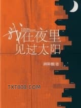 我在夜里见过太阳图片