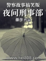夜间刑事部图片