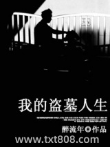 我的盗墓人生图片